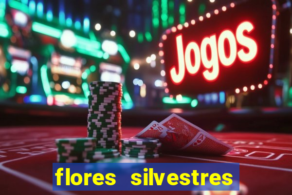 flores silvestres desbravadores desbravadores 25